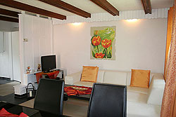 Wohnbereich mit TV